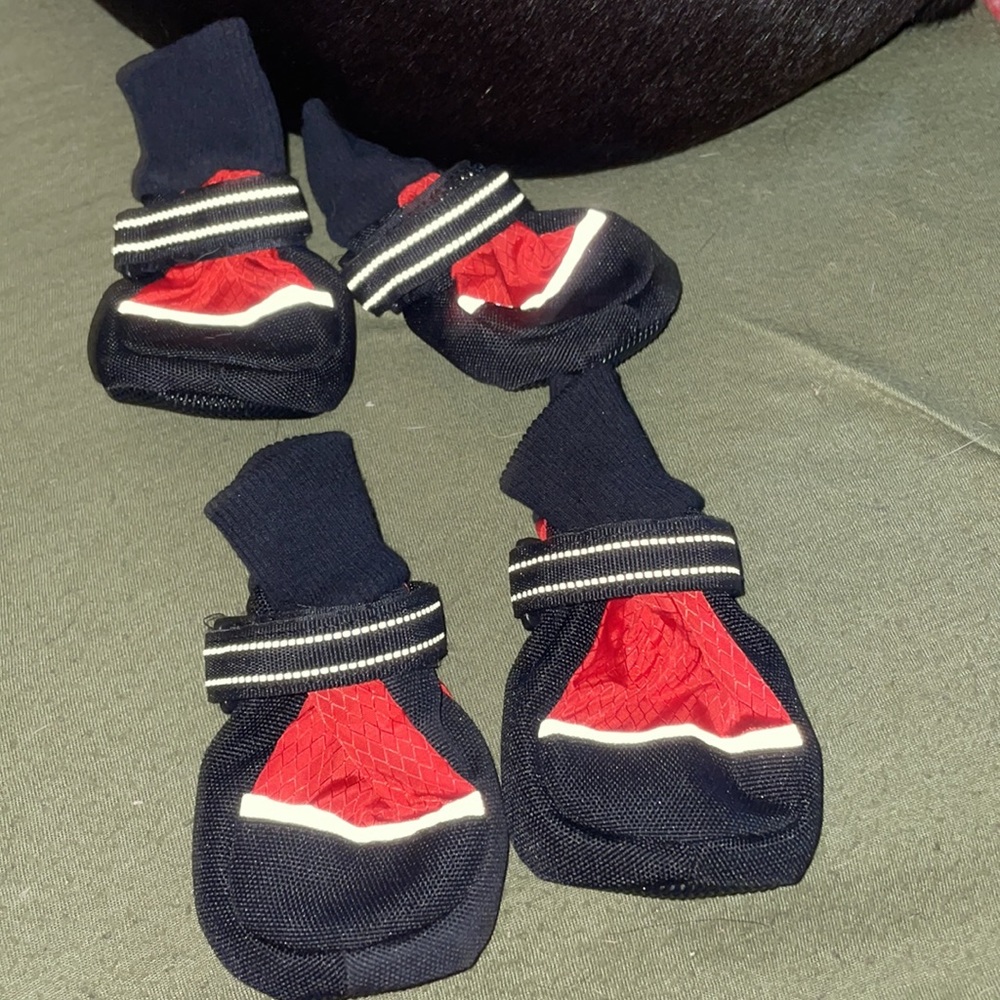 Small dog booties.